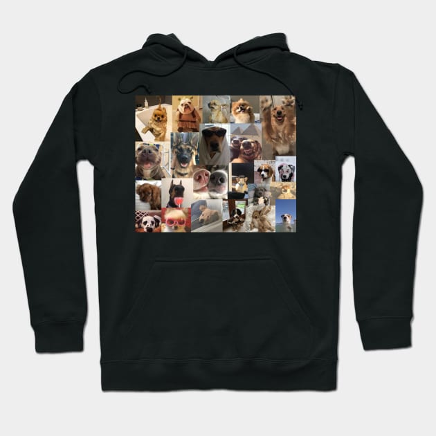 dogs aesthetic collage Hoodie by morgananjos